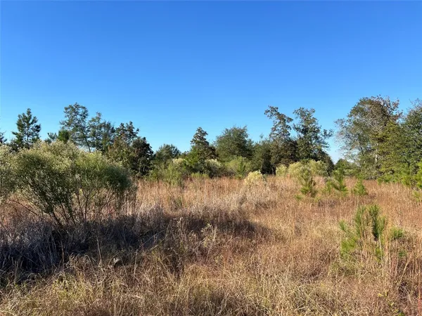 $352,312 | 3711 Felix Currie Road, Point Blank, TX 77364