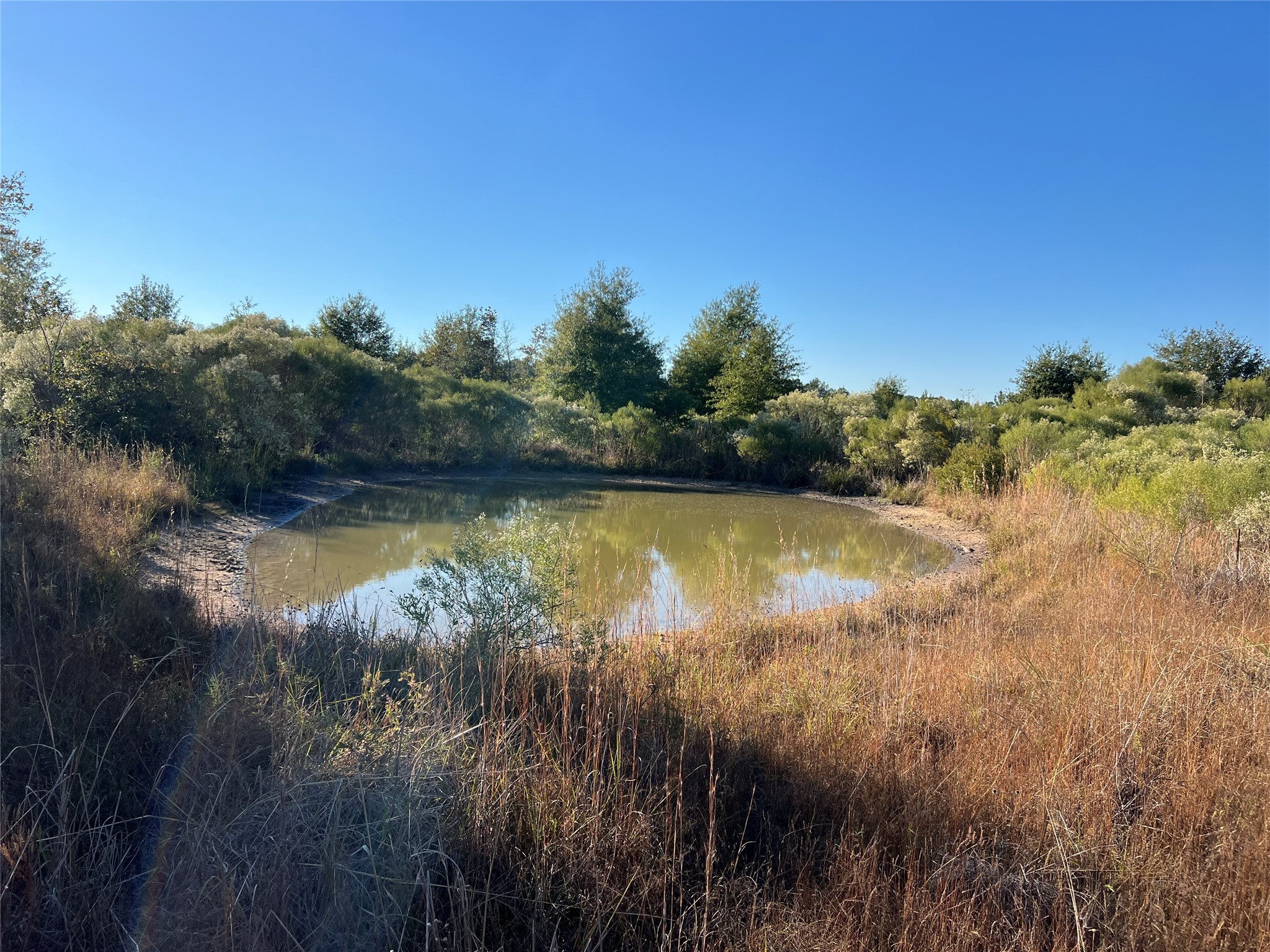 3711 Felix Currie Road Point Blank, TX 77364 - Photo 3 of 21 a view of a lake with a yard