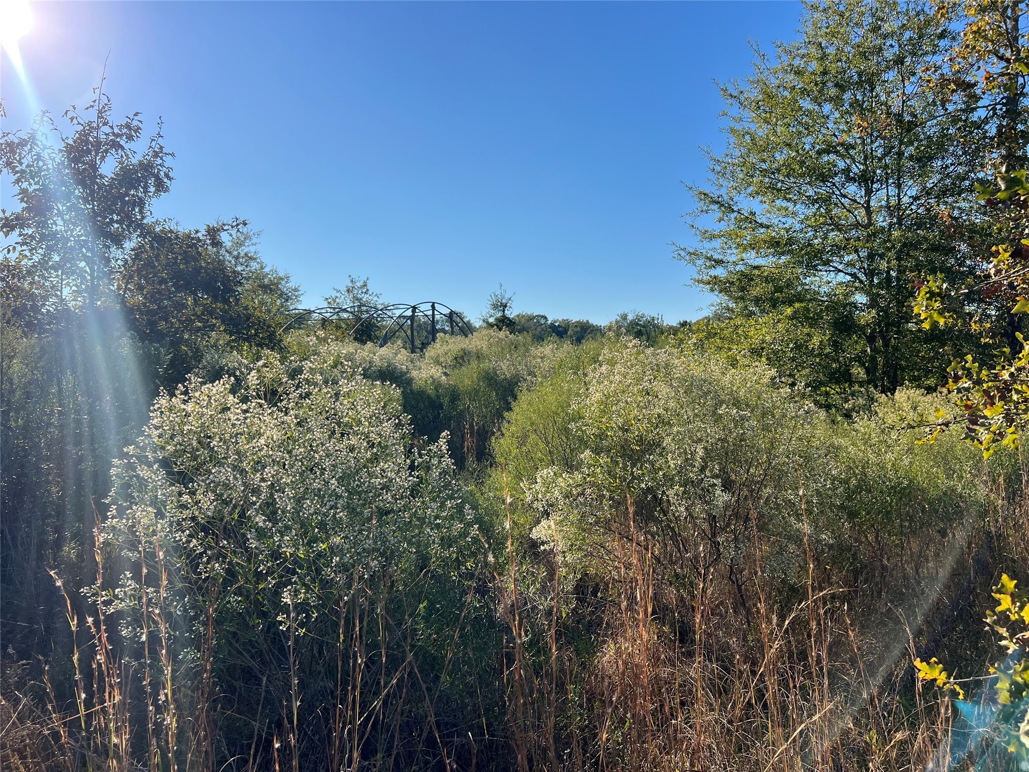3711 Felix Currie Road Point Blank, TX 77364 - Photo 4 of 21 a view of a houses with a lush green forest