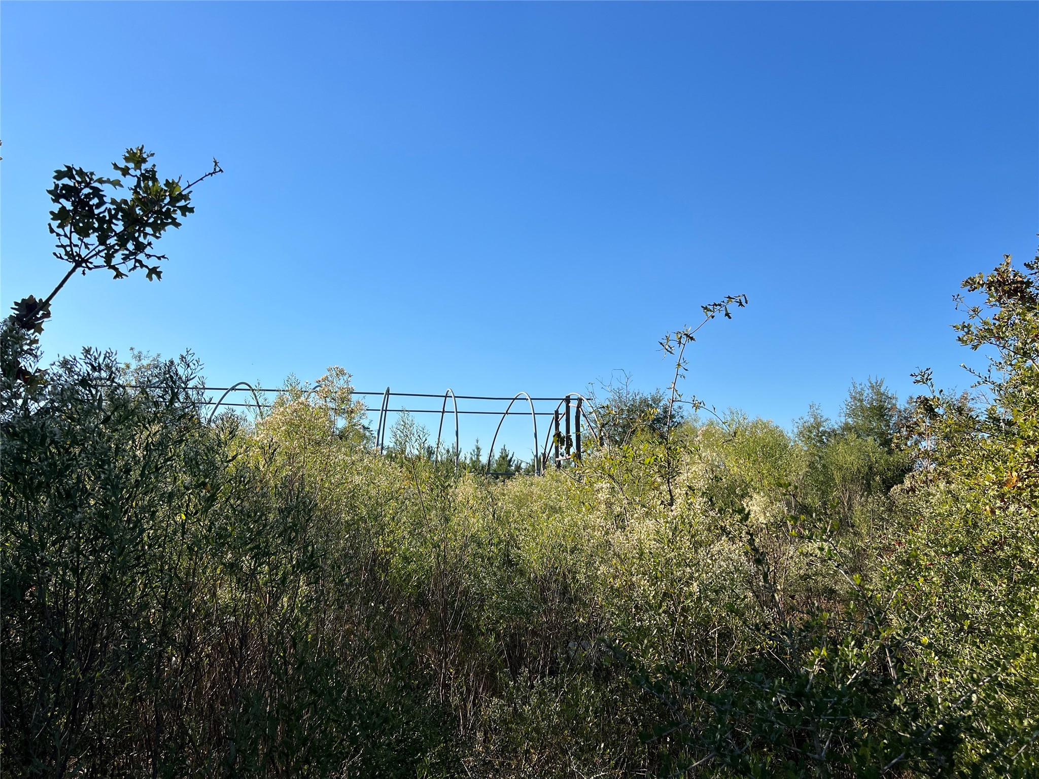3711 Felix Currie Road Point Blank, TX 77364 - Photo 5 of 21 a view of a lake