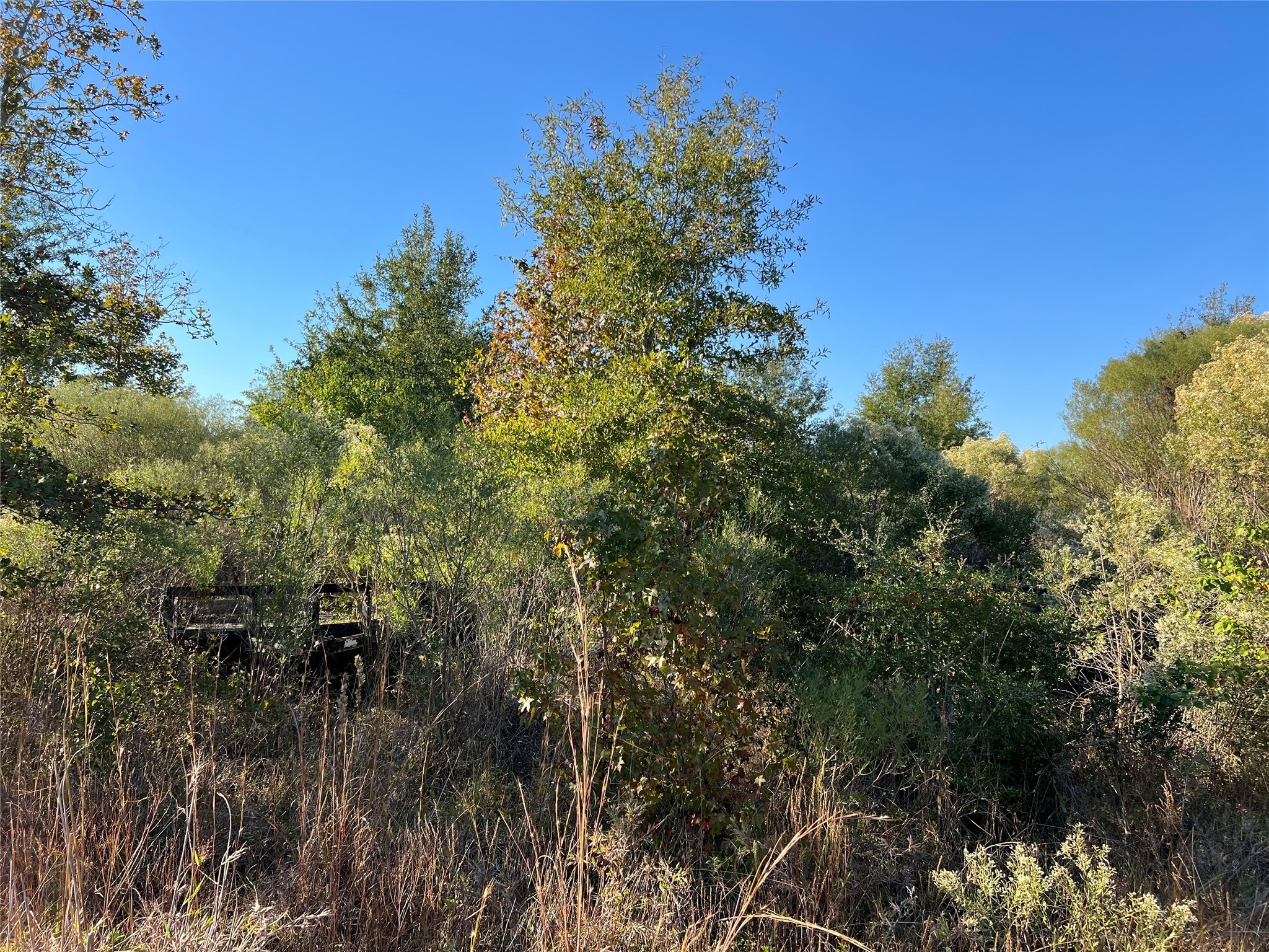 3711 Felix Currie Road Point Blank, TX 77364 - Photo 6 of 21 a view of a lake with houses