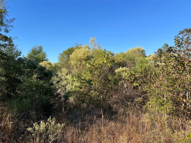 a view of a field of grass and trees