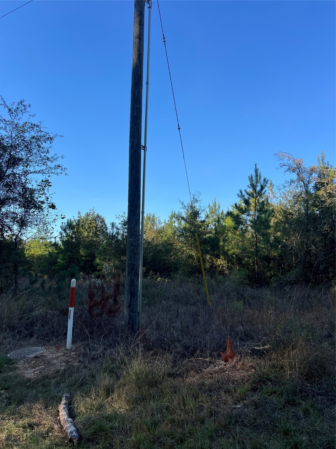 3711 Felix Currie Road Point Blank, TX 77364 - Photo 8 of 21 a view of a backyard