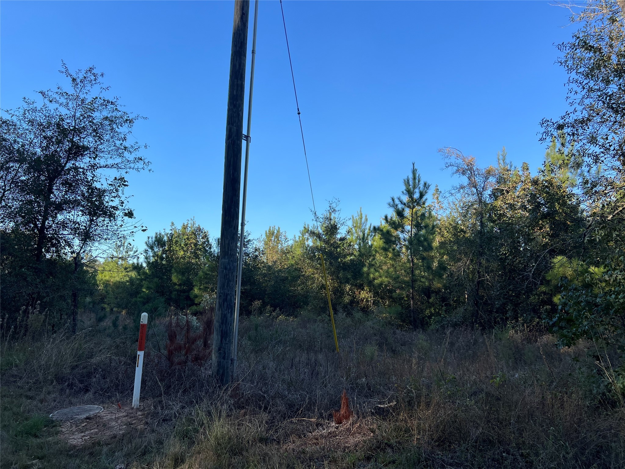 3711 Felix Currie Road Point Blank, TX 77364 - Photo 9 of 21 a view of a backyard