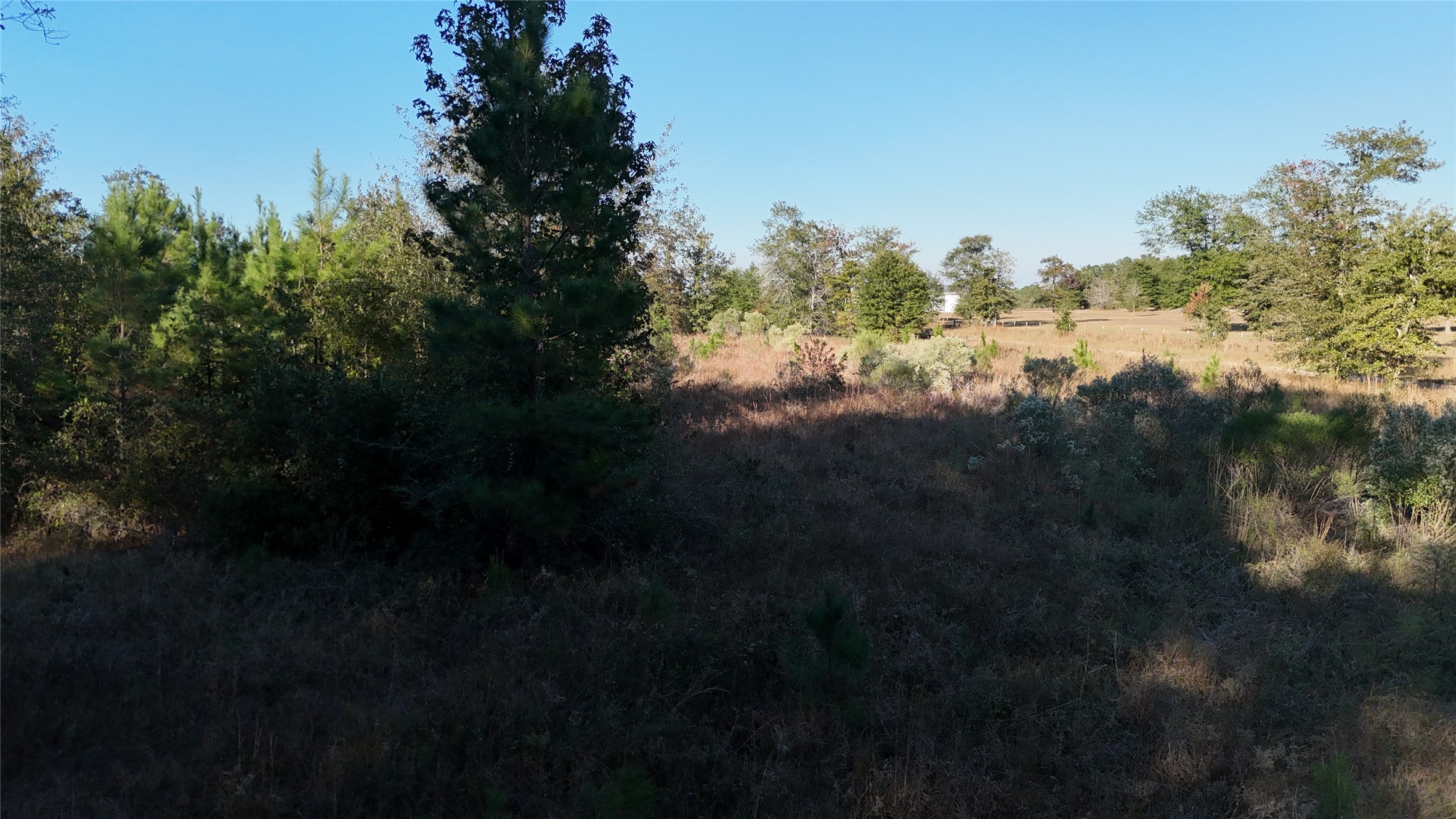 3711 Felix Currie Road Point Blank, TX 77364 - Photo 10 of 21 a view of city from balcony