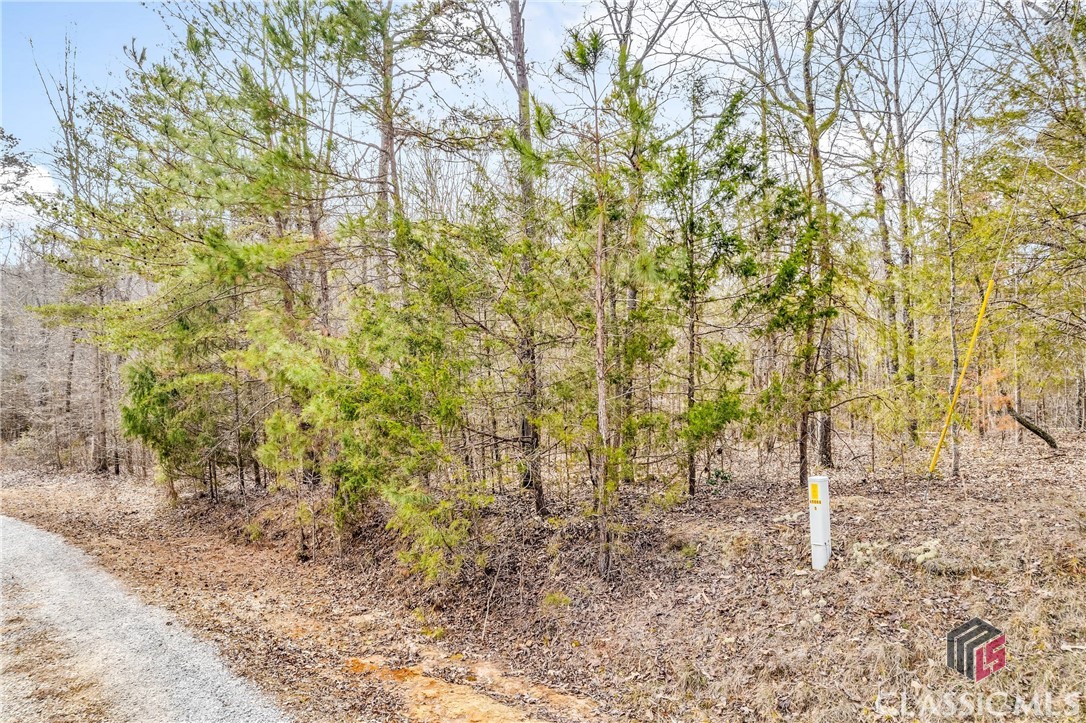 0 Paynes Creek Road, Unit LOT 7 Hartwell, GA 30643 - Photo 13 of 17