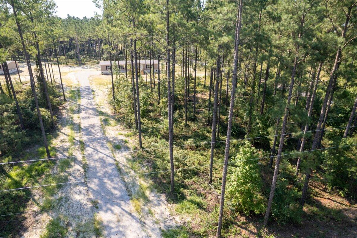 762 White Pond Road Williston, SC 29853 - Photo 23 of 31 23