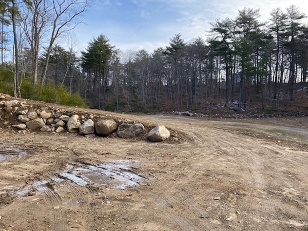 3 Kings Way Manchester, MA 01944 - Photo 2 of 2 a view of a backyard with large trees