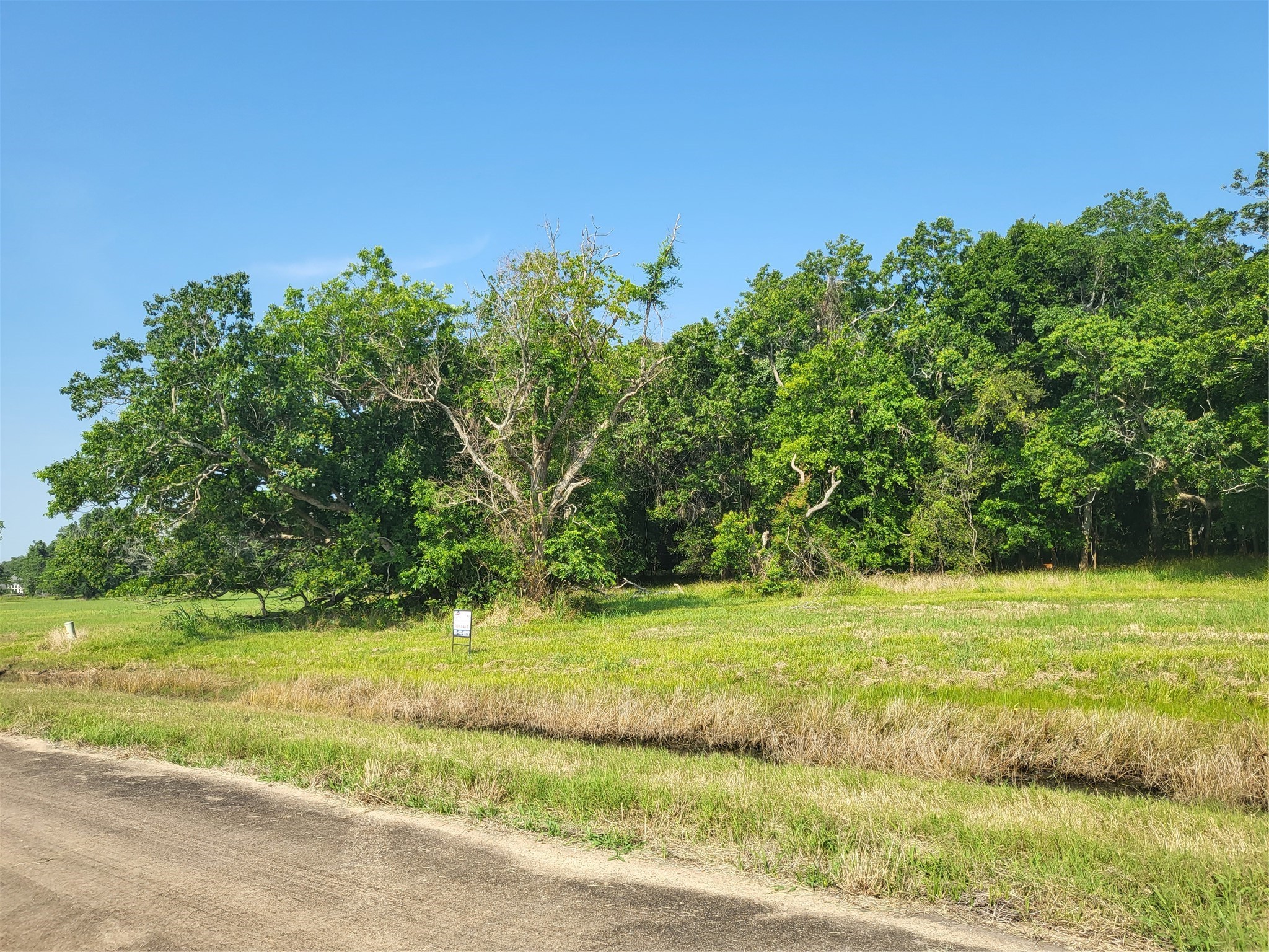 Lot 71 Conestoga Trail Angleton, TX 77515 - Photo 1 of 5 a view of a field with an trees in the background