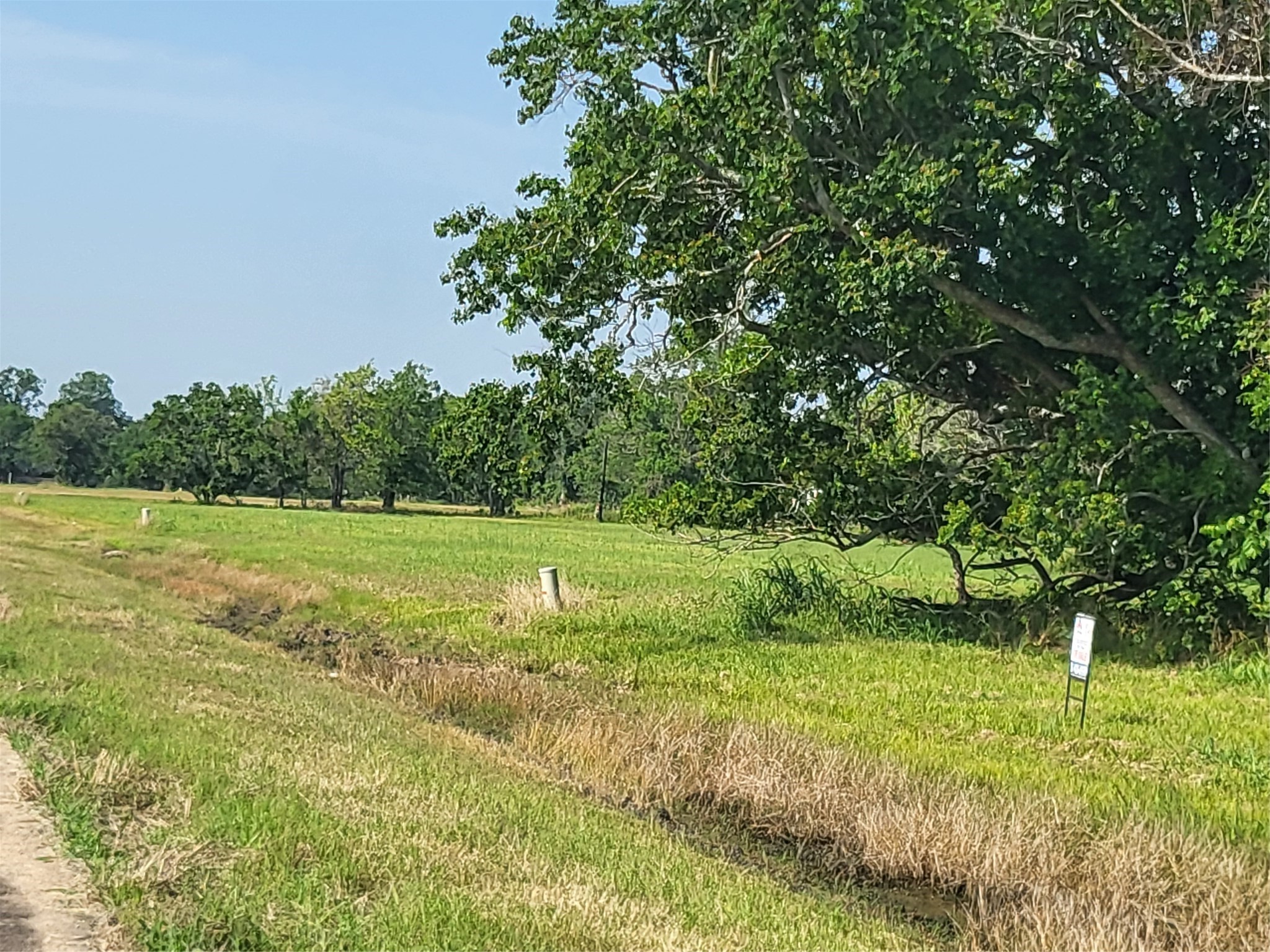 Lot 71 Conestoga Trail Angleton, TX 77515 - Photo 5 of 5 a view of a garden with a tree