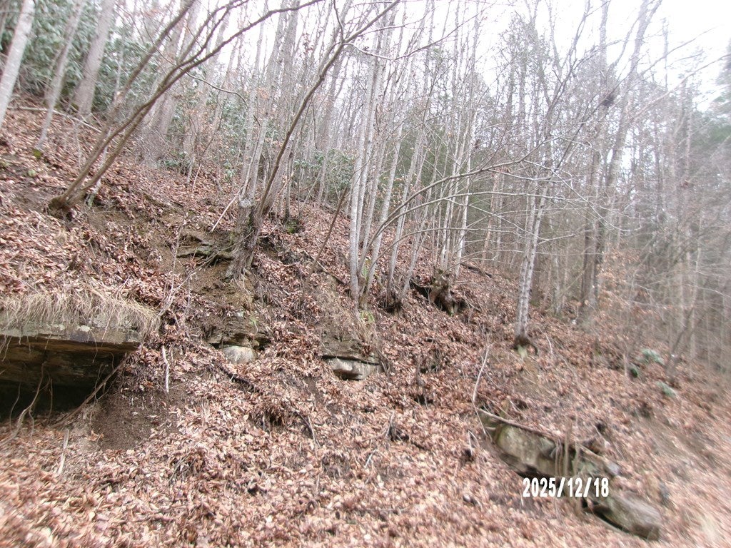 3675 Anawalt Ridge Road Anawalt, WV 24808 - Photo 7 of 9 Gallery Image 7