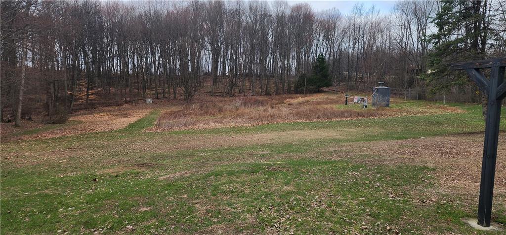 1374 Saltsburg Road Clarksburg, PA 15725 - Photo 7 of 22 a backyard of a house with lots of green space and trees