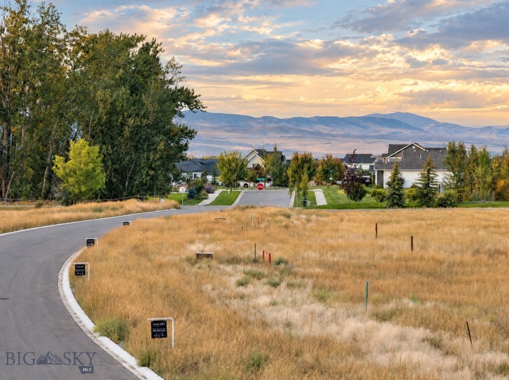 Lot 8 Crossbill Road Bozeman, MT 59718 - Photo 1 of 18 Gallery Image 1