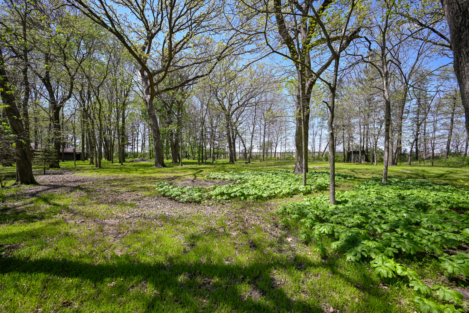 2588 # J Rock Creek Road Plano, IL 60545 - Photo 36 of 39 a view of a park with tree s