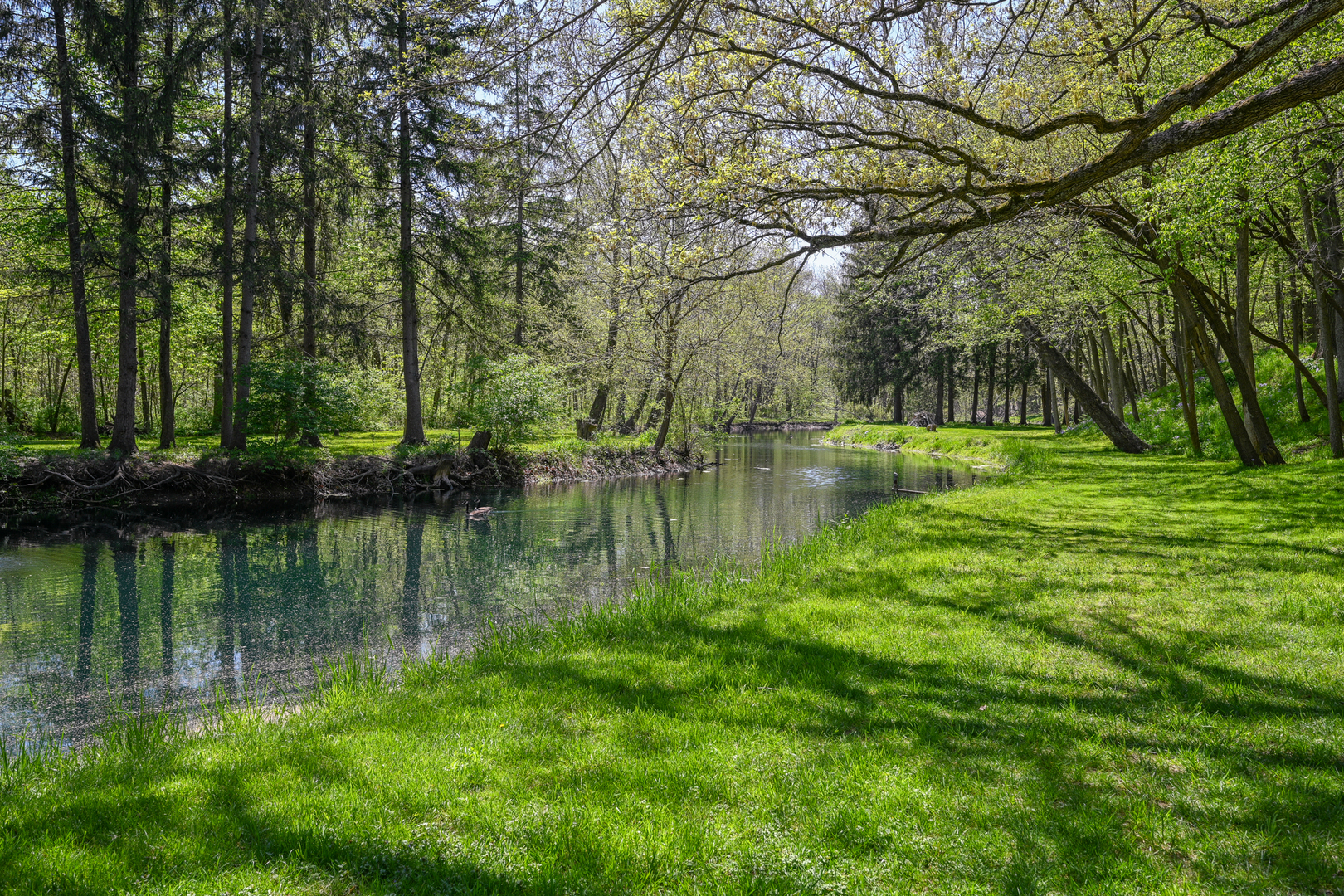2588 # J Rock Creek Road Plano, IL 60545 - Photo 39 of 39 a view of a lake with a yard and large trees