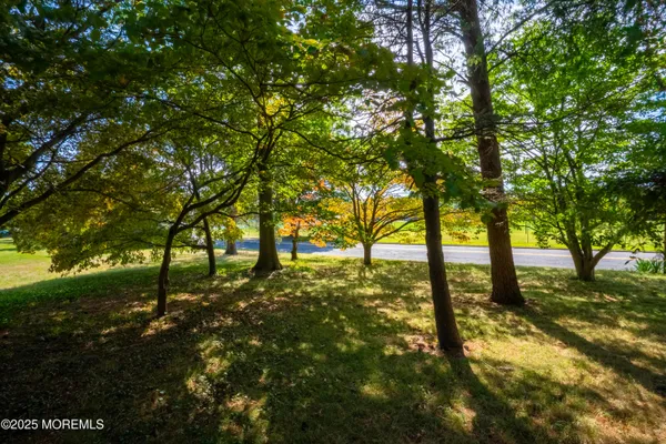 a view of a big yard with a house and large trees