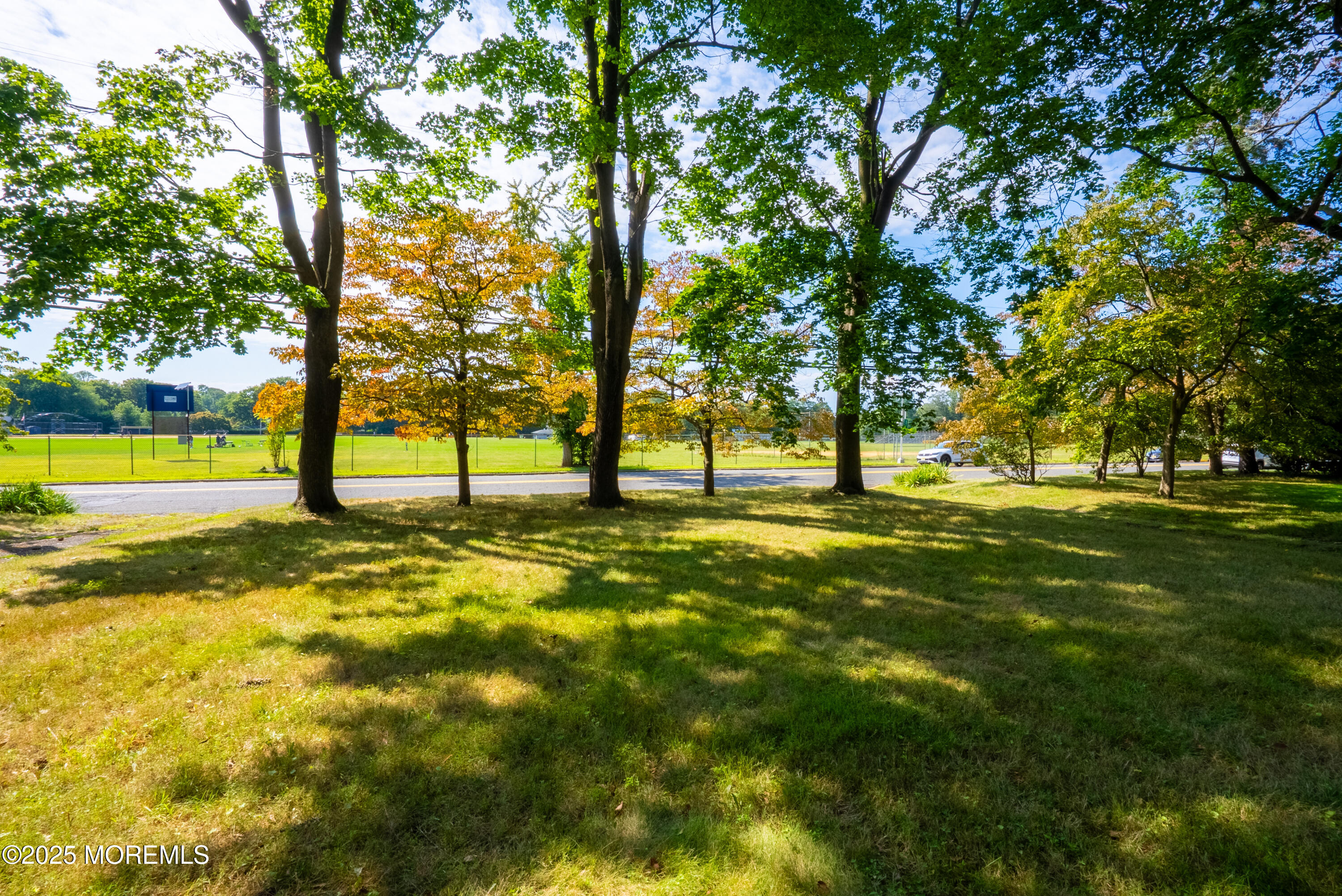 16 Robertsville Road Freehold, NJ 07728 - Photo 46 of 59 a view of yard with trees