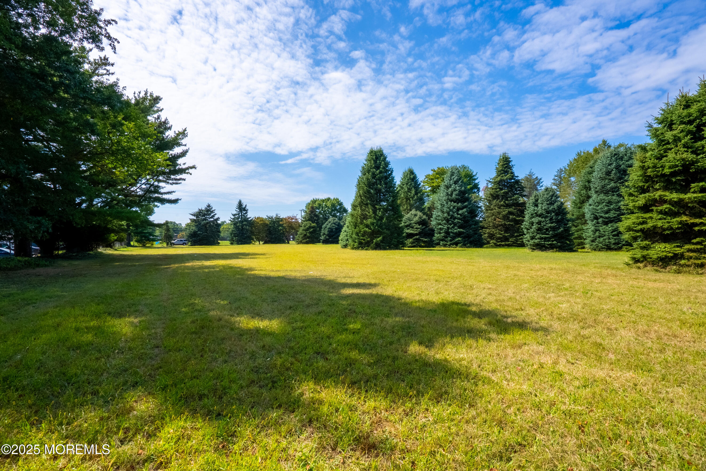 16 Robertsville Road Freehold, NJ 07728 - Photo 51 of 59 a view of outdoor space with swimming pool and green space