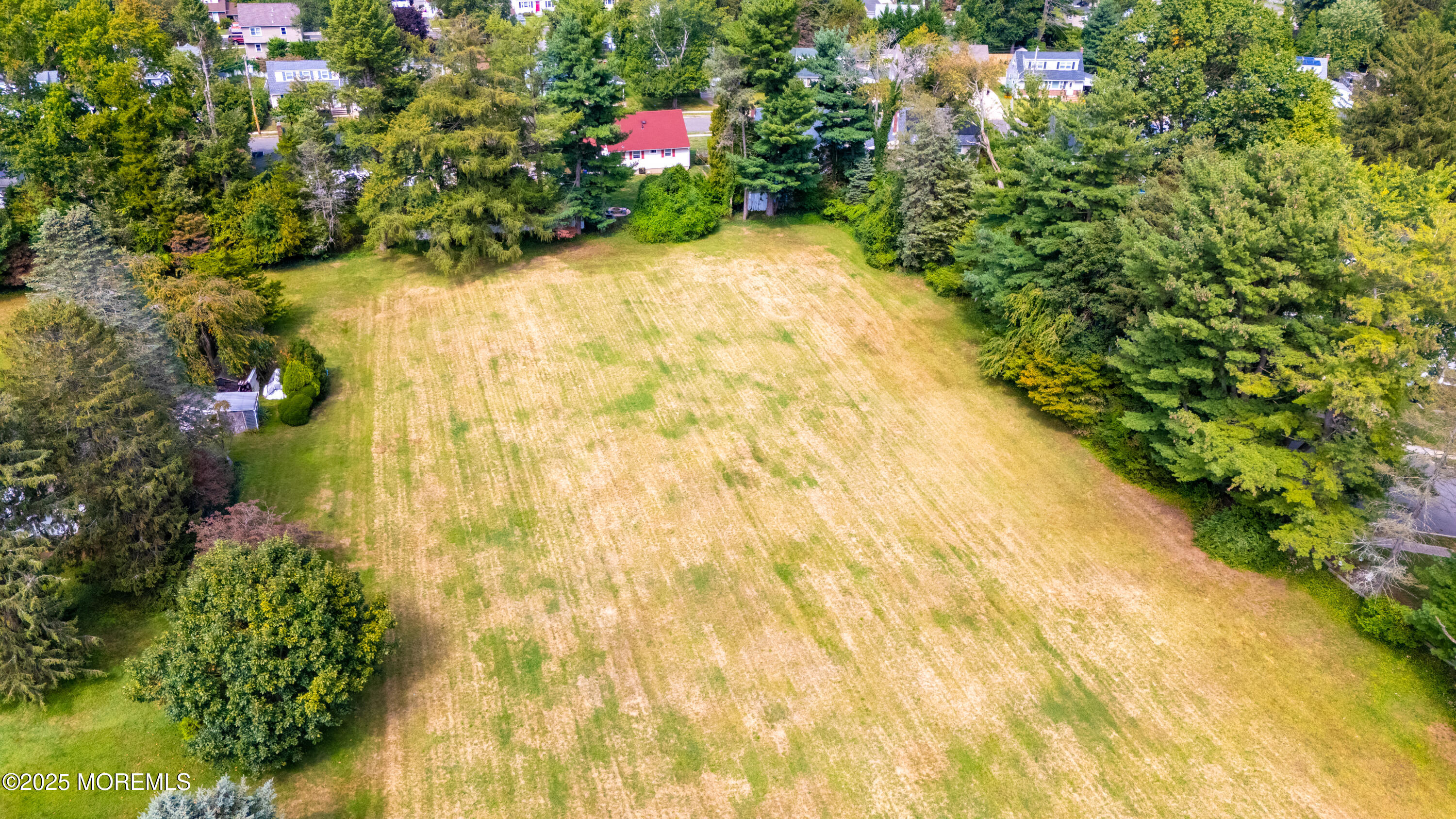 16 Robertsville Road Freehold, NJ 07728 - Photo 56 of 59 a view of yard with plants and flowers