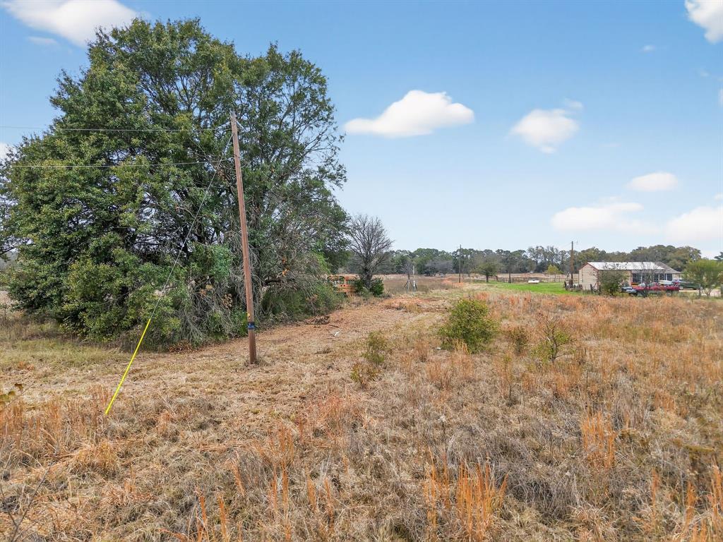 8196 Acorn Circle Scurry, TX 75158 - Photo 7 of 15