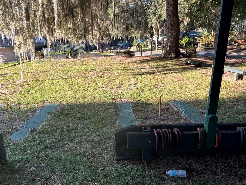 14415 Northeast 252nd Ct Road, Unit 133 Fort McCoy, FL 32134 - Photo 30 of 39