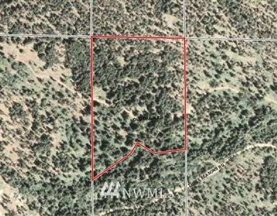-tbd Old Cabin Road Winthrop, WA 98862 - Photo 1 of 1 Gallery Image 1