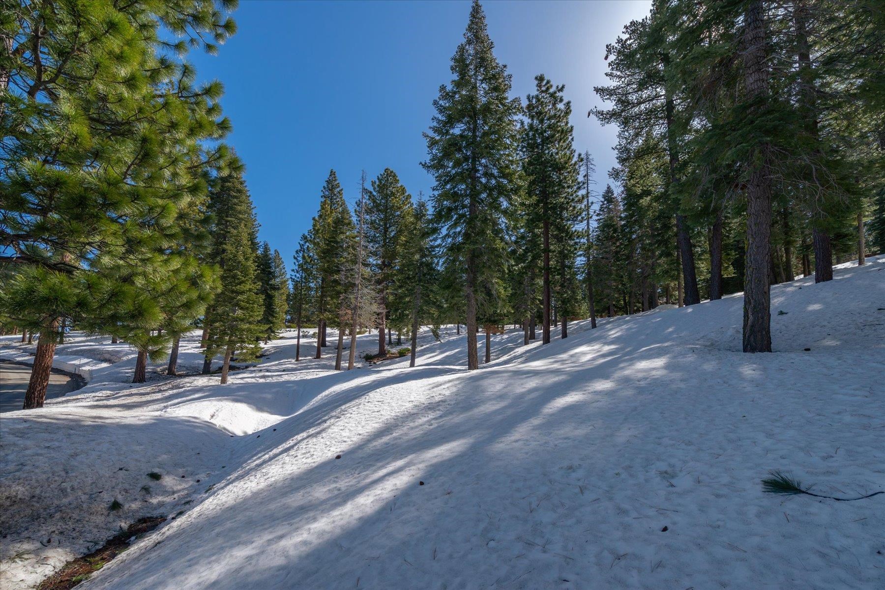 2640 Mill Site Road Truckee, CA 96161 - Photo 11 of 18