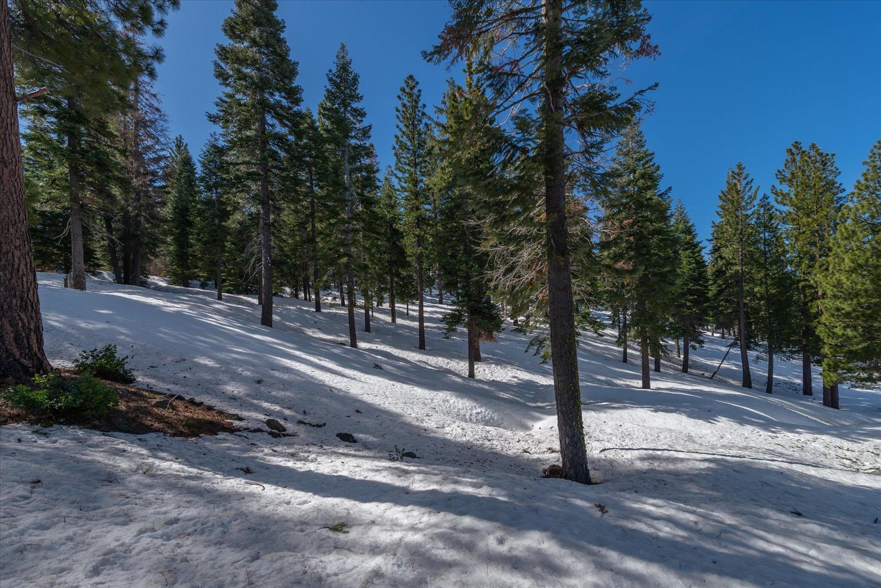 2640 Mill Site Road Truckee, CA 96161 - Photo 13 of 18
