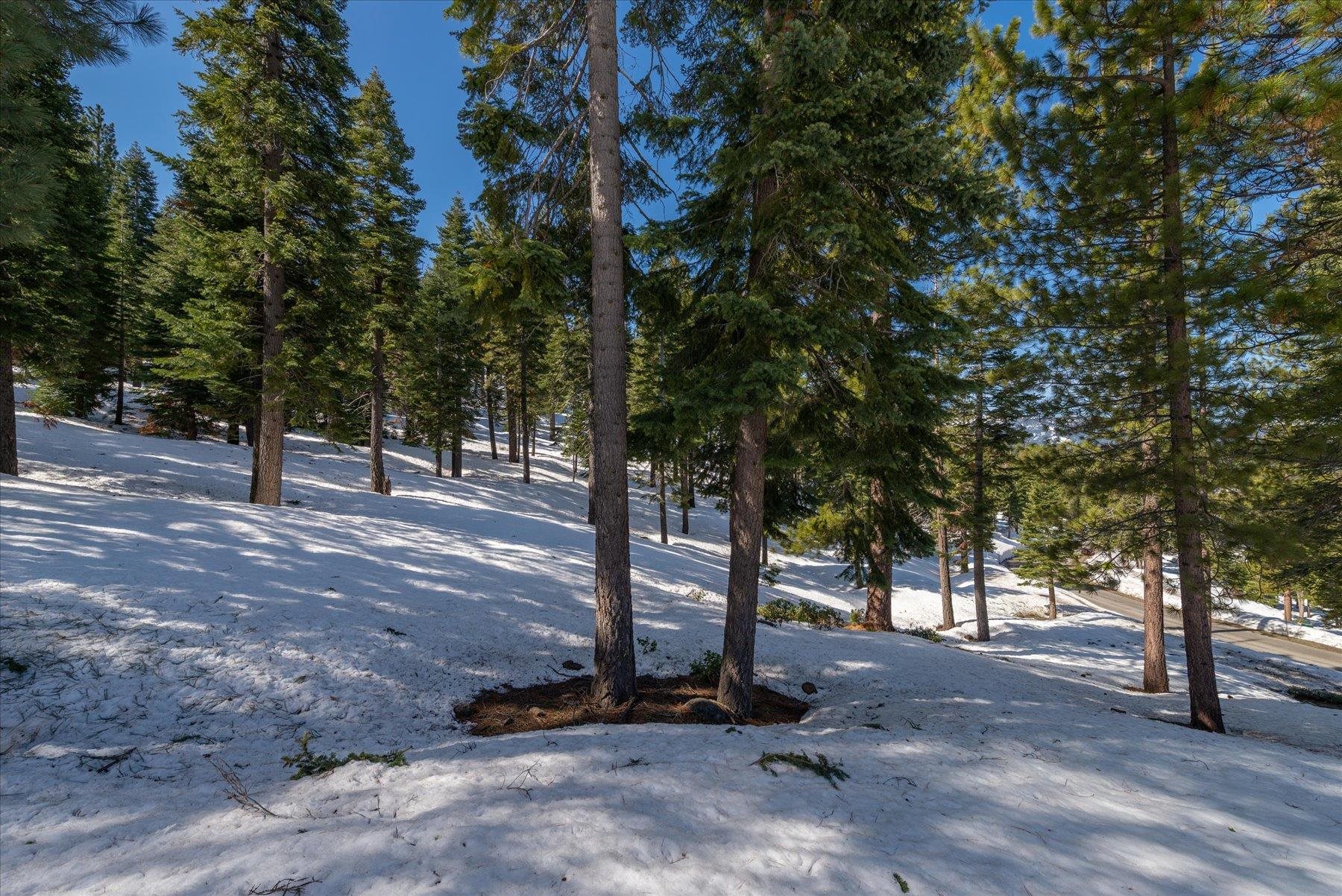 2640 Mill Site Road Truckee, CA 96161 - Photo 17 of 18