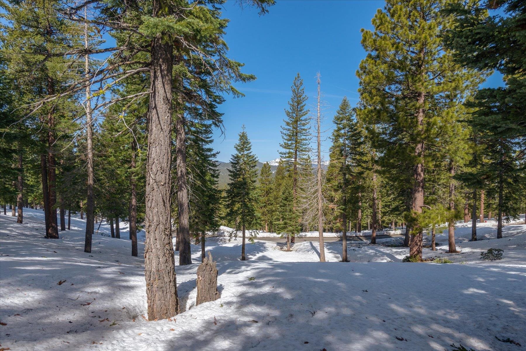 2640 Mill Site Road Truckee, CA 96161 - Photo 6 of 18