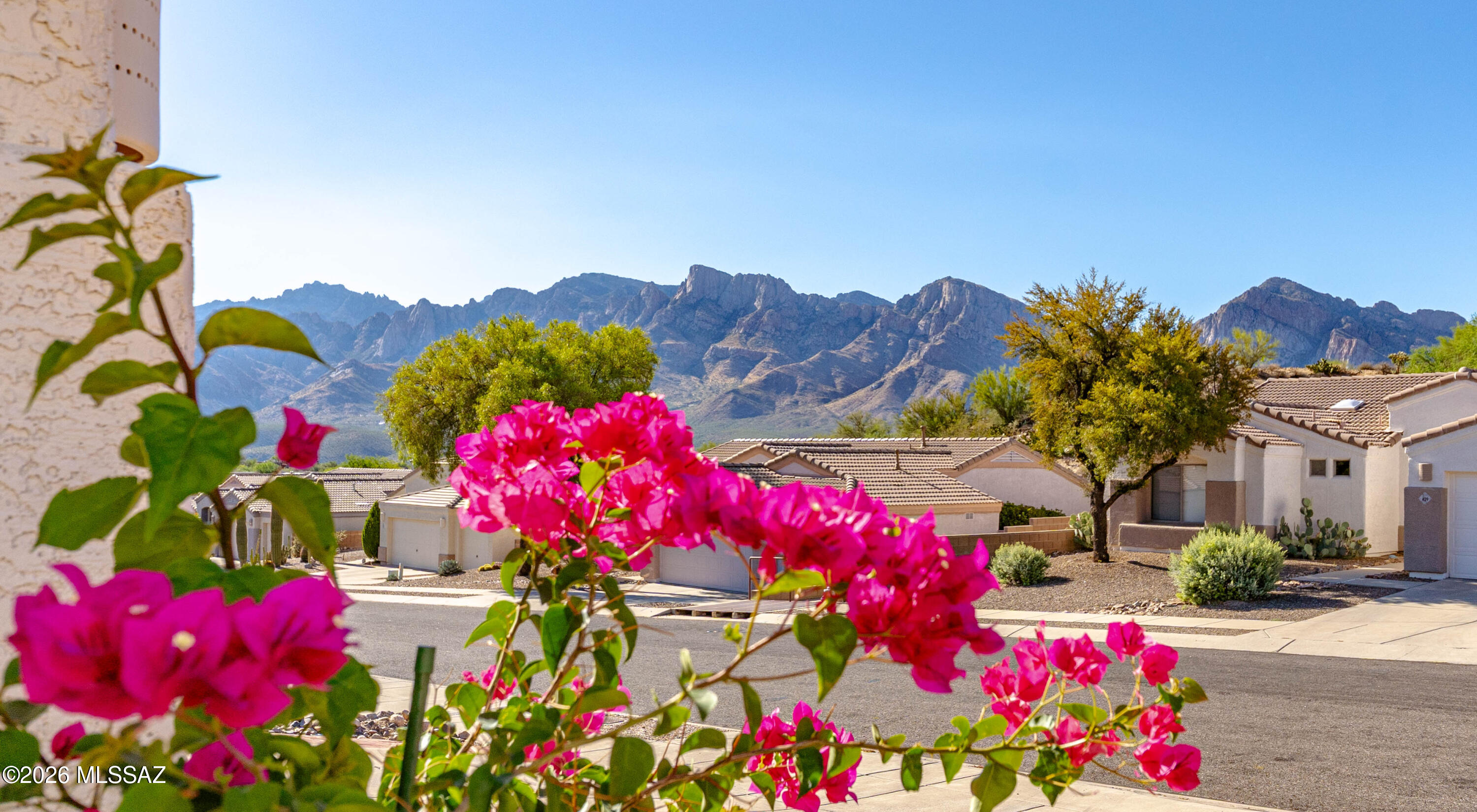 446 West Silvertip Road Tucson, AZ 85737 - Photo 45 of 51 Lovely Mountain Views