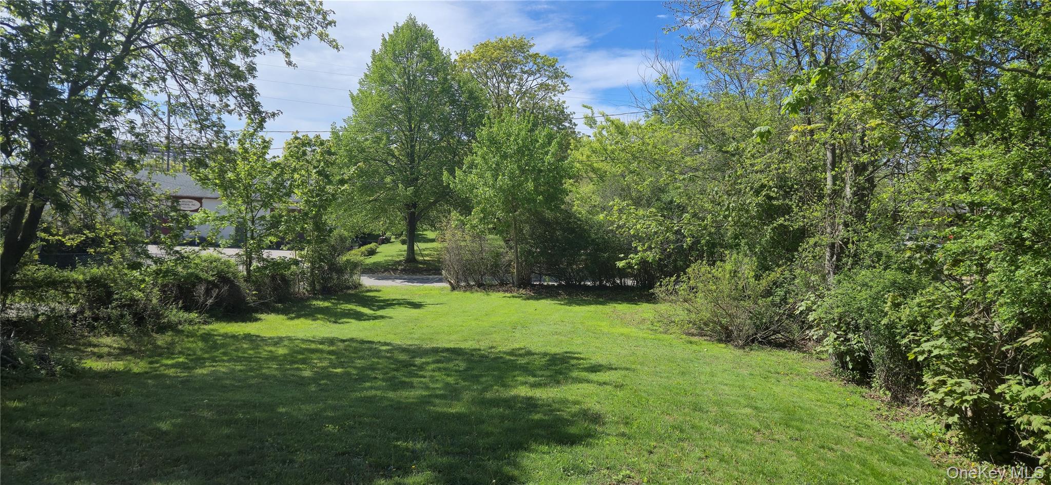 39 Miller Road Southampton, NY 11968 - Photo 1 of 2 a big yard with lots of green space and deers