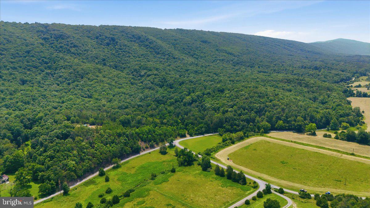 3300 Foxes Hollow Road Romney, WV 26757 - Photo 51 of 59