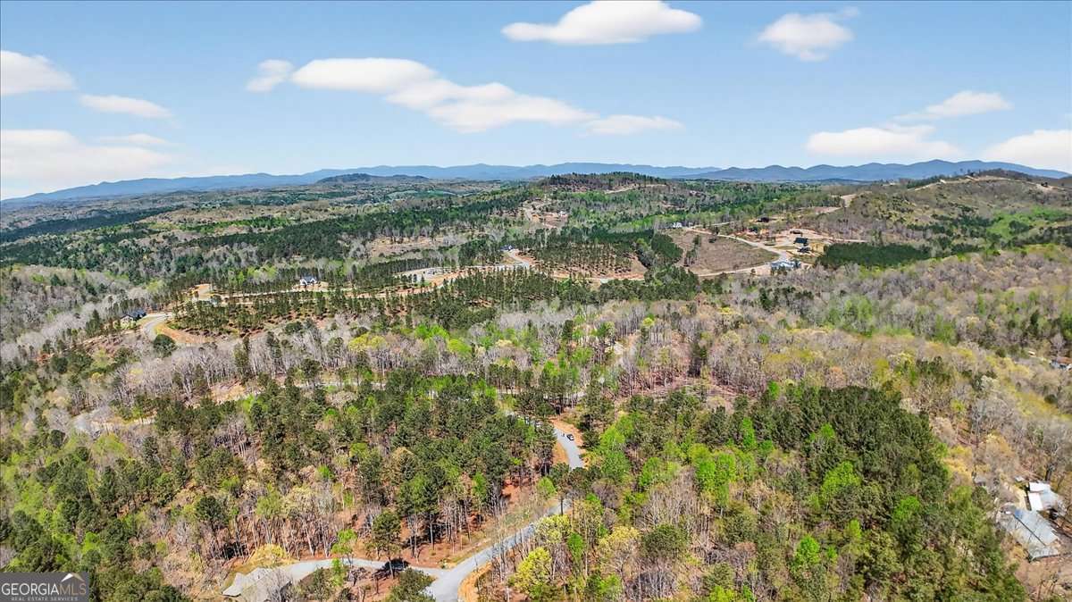 0 Twisted Oak Road, Unit LOT 440 Talking Rock, GA 30175 - Photo 11 of 14 a view of a city and mountains