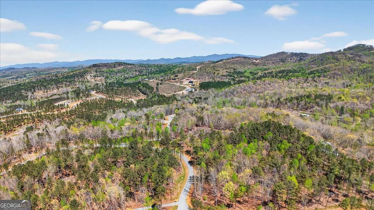 0 Twisted Oak Road, Unit LOT 440 Talking Rock, GA 30175 - Photo 12 of 14 a view of a city with mountains in the background