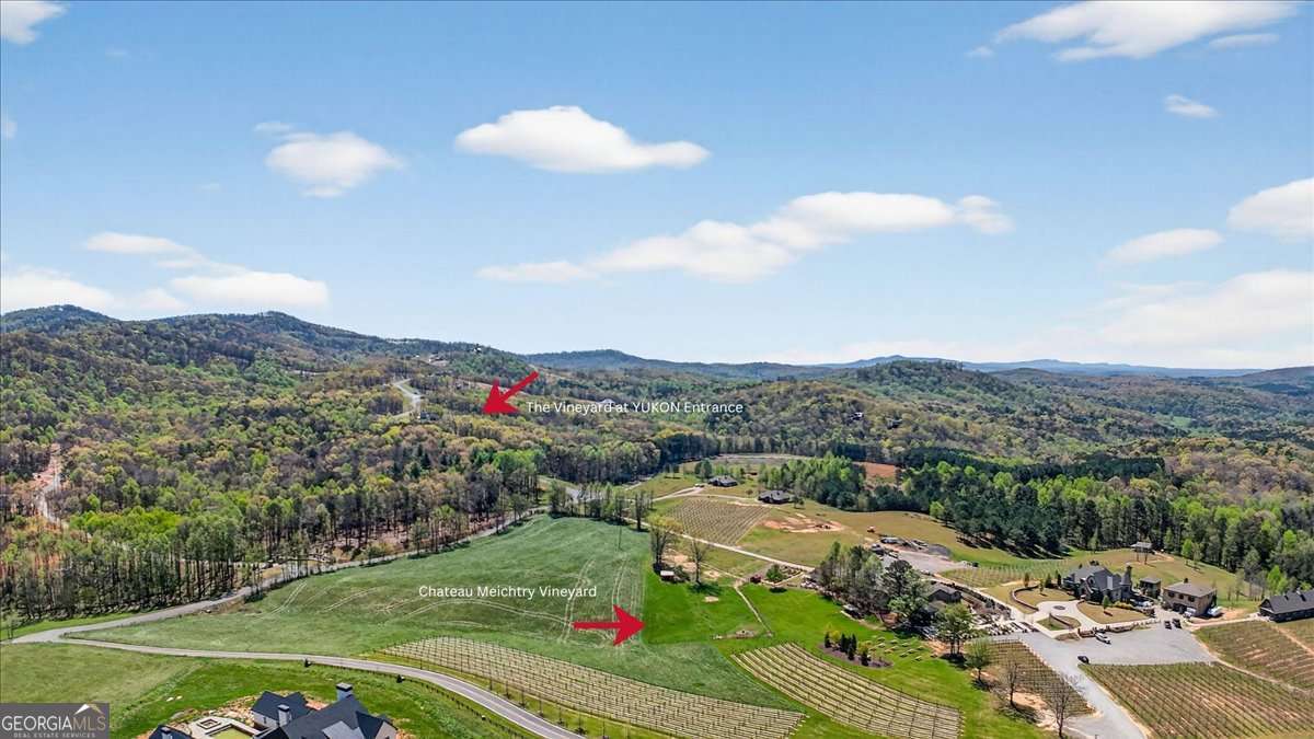 0 Twisted Oak Road, Unit LOT 440 Talking Rock, GA 30175 - Photo 13 of 14 a view of a city