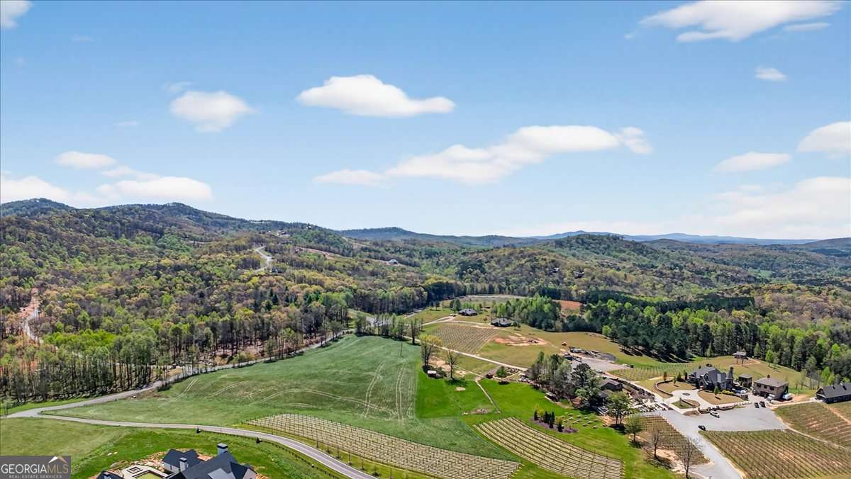 0 Twisted Oak Road, Unit LOT 440 Talking Rock, GA 30175 - Photo 14 of 14 a view of a city
