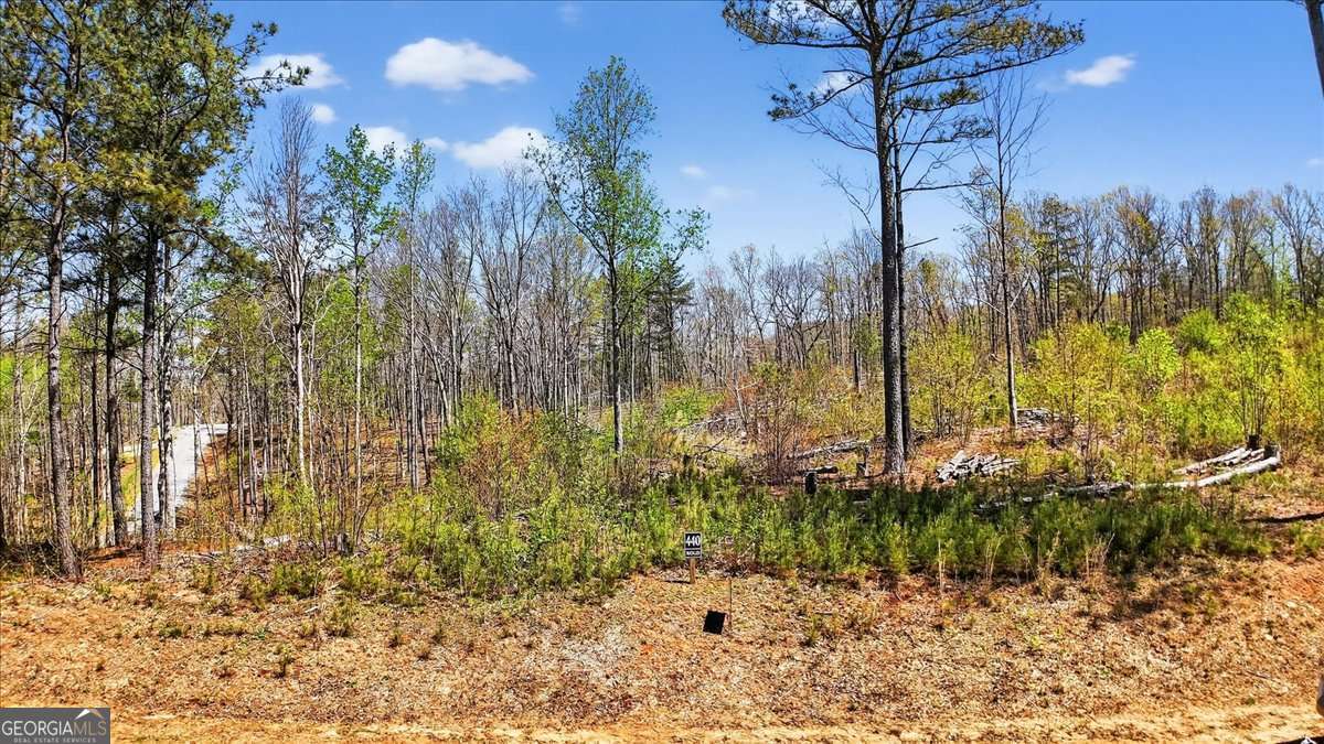 0 Twisted Oak Road, Unit LOT 440 Talking Rock, GA 30175 - Photo 4 of 14 a view of a backyard of the house