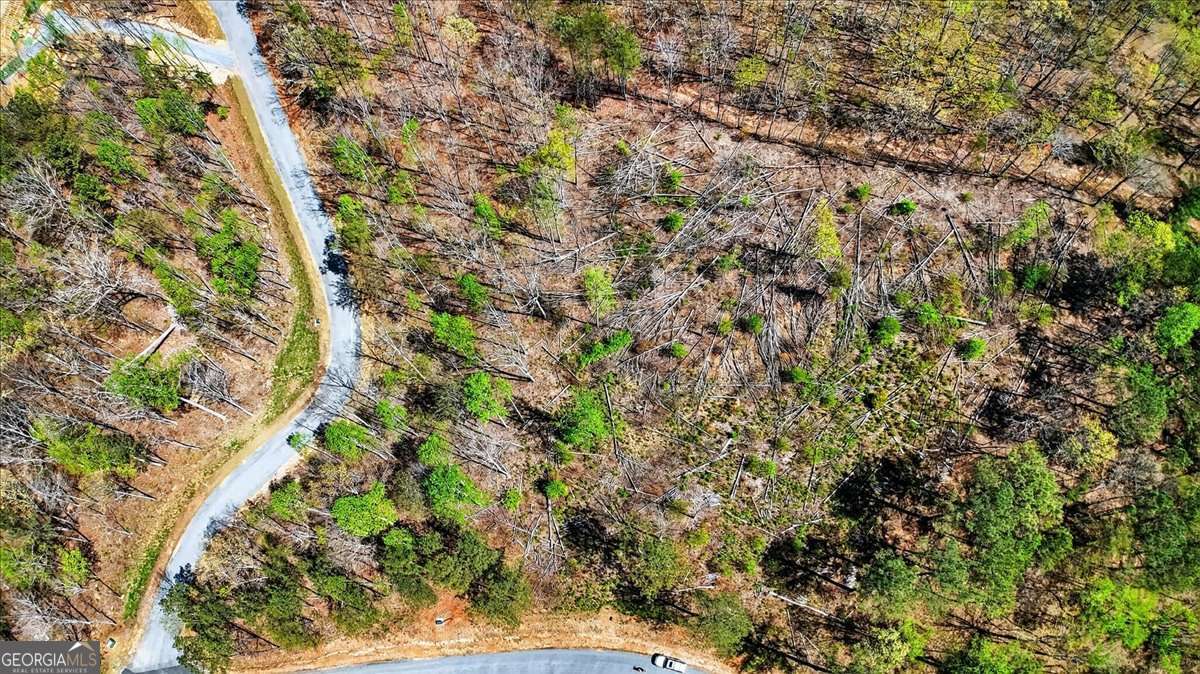 0 Twisted Oak Road, Unit LOT 440 Talking Rock, GA 30175 - Photo 5 of 14 a view of a tree