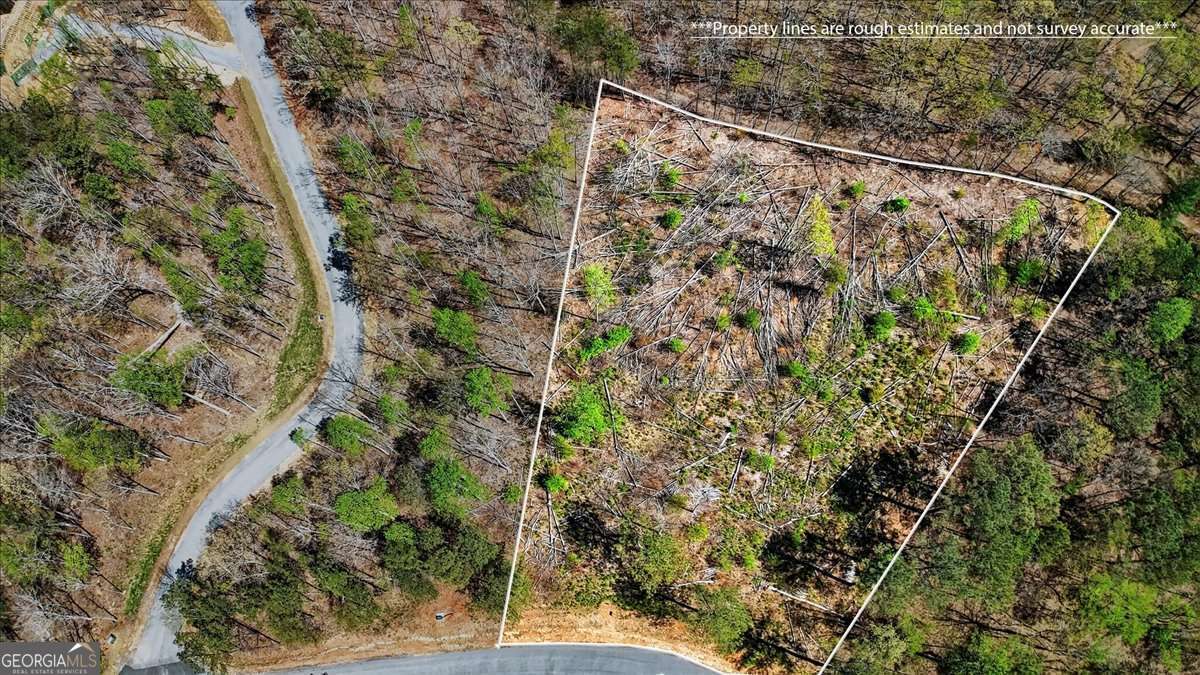 0 Twisted Oak Road, Unit LOT 440 Talking Rock, GA 30175 - Photo 6 of 14 a view of a yard with a tree