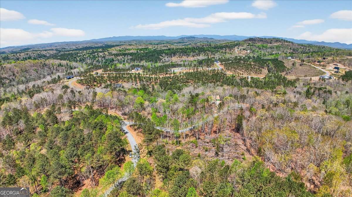 0 Twisted Oak Road, Unit LOT 440 Talking Rock, GA 30175 - Photo 7 of 14 a view of a city with mountains in the background