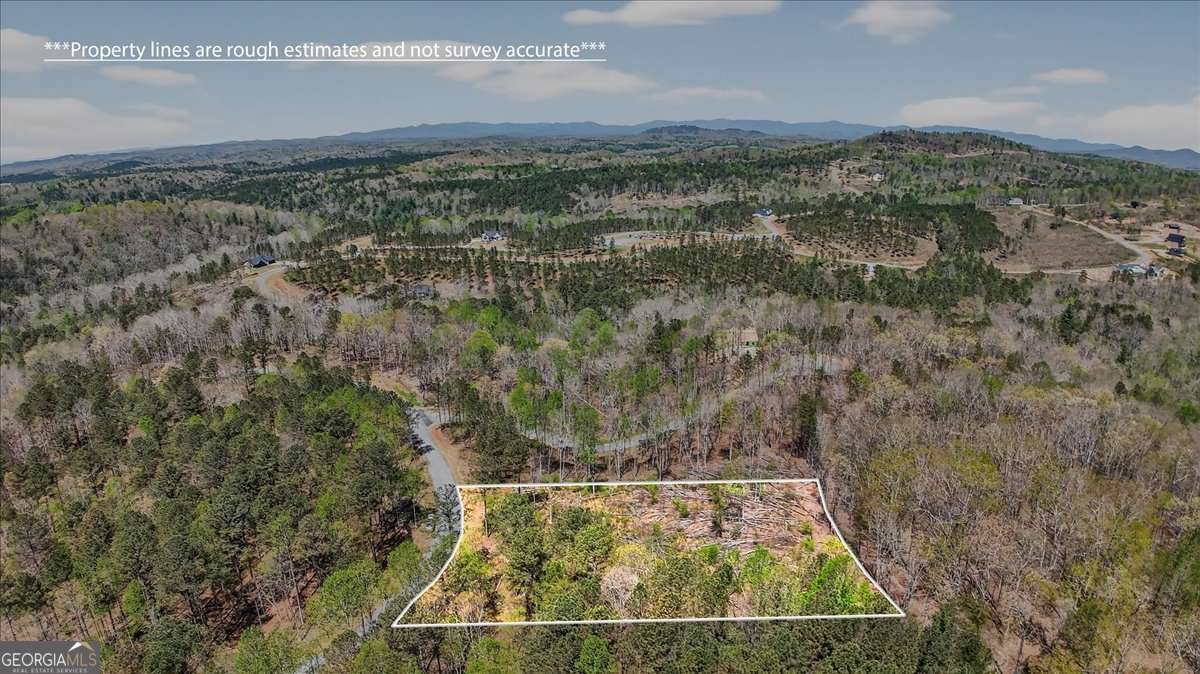 0 Twisted Oak Road, Unit LOT 440 Talking Rock, GA 30175 - Photo 8 of 14