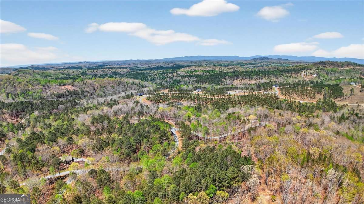 0 Twisted Oak Road, Unit LOT 440 Talking Rock, GA 30175 - Photo 9 of 14 a view of lake and mountain