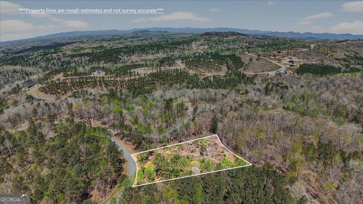 0 Twisted Oak Road, Unit LOT 440 Talking Rock, GA 30175 - Photo 10 of 14