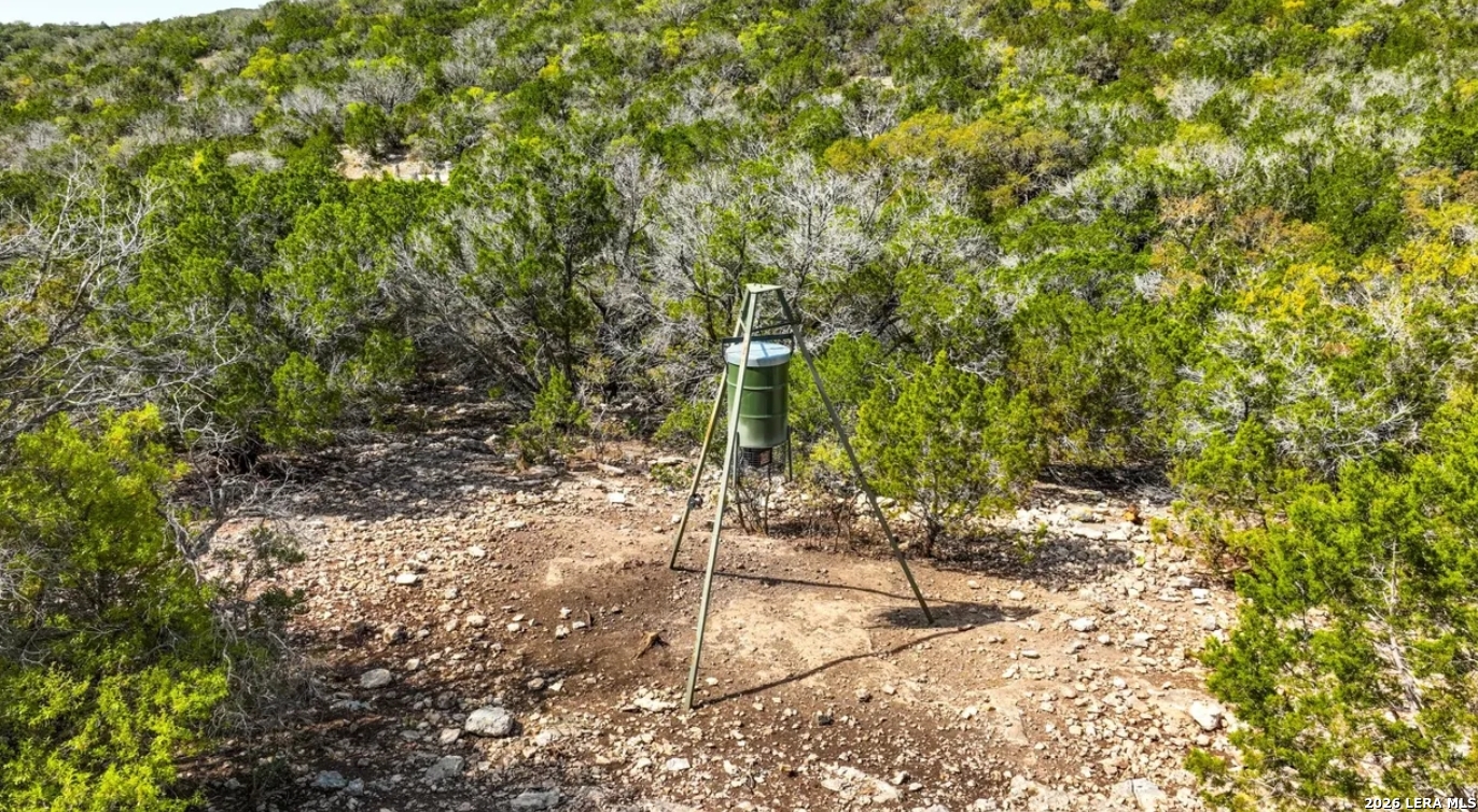 0 No Name Rocksprings, TX 78880 - Photo 17 of 20