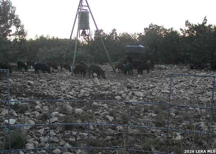 0 No Name Rocksprings, TX 78880 - Photo 4 of 20