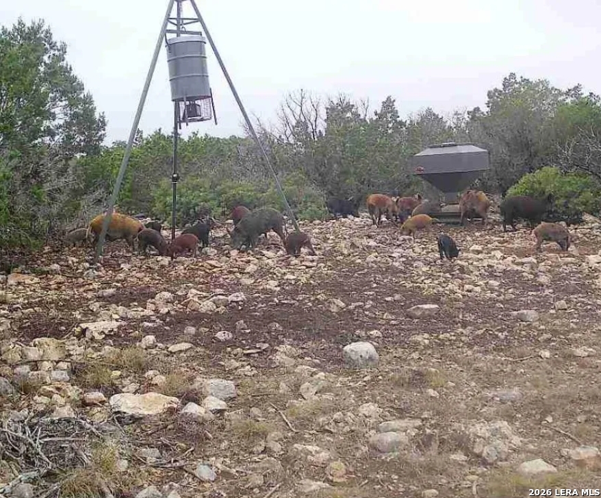 0 No Name Rocksprings, TX 78880 - Photo 5 of 20