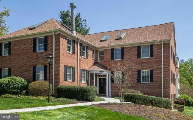 8207 Grubb Road, Unit 101 Silver Spring, MD 20910 - Photo 16 of 16 Beautiful Landscaping!