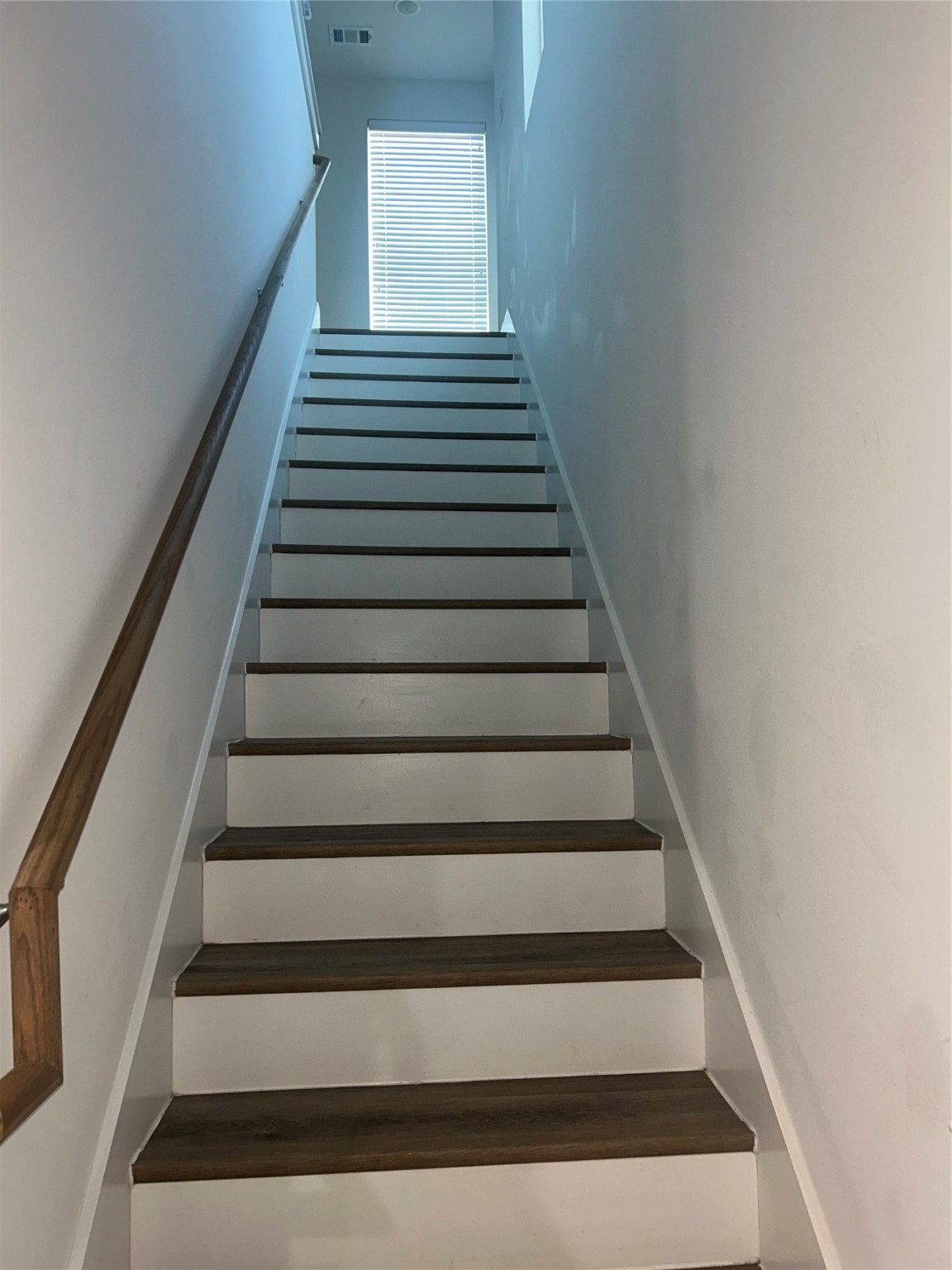 4605 Lavatera Street Houston, TX 77018 - Photo 27 of 50