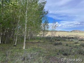 1599 Campfire Road Hartsel, CO 80449 - Photo 6 of 39 Gallery Image 6